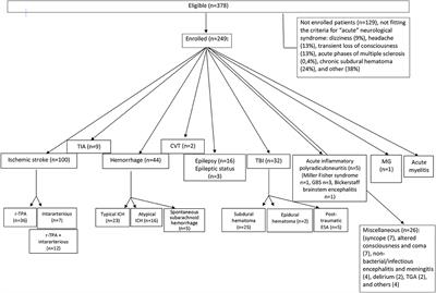 Stroke unit and Neurocritical Care Unit for acute neurological diseases in the USL Toscana Centro: a pilot model of Santo Stefano Hospital in Prato